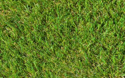 What Is The Best Length, or Pile Height, for Artificial Grass?